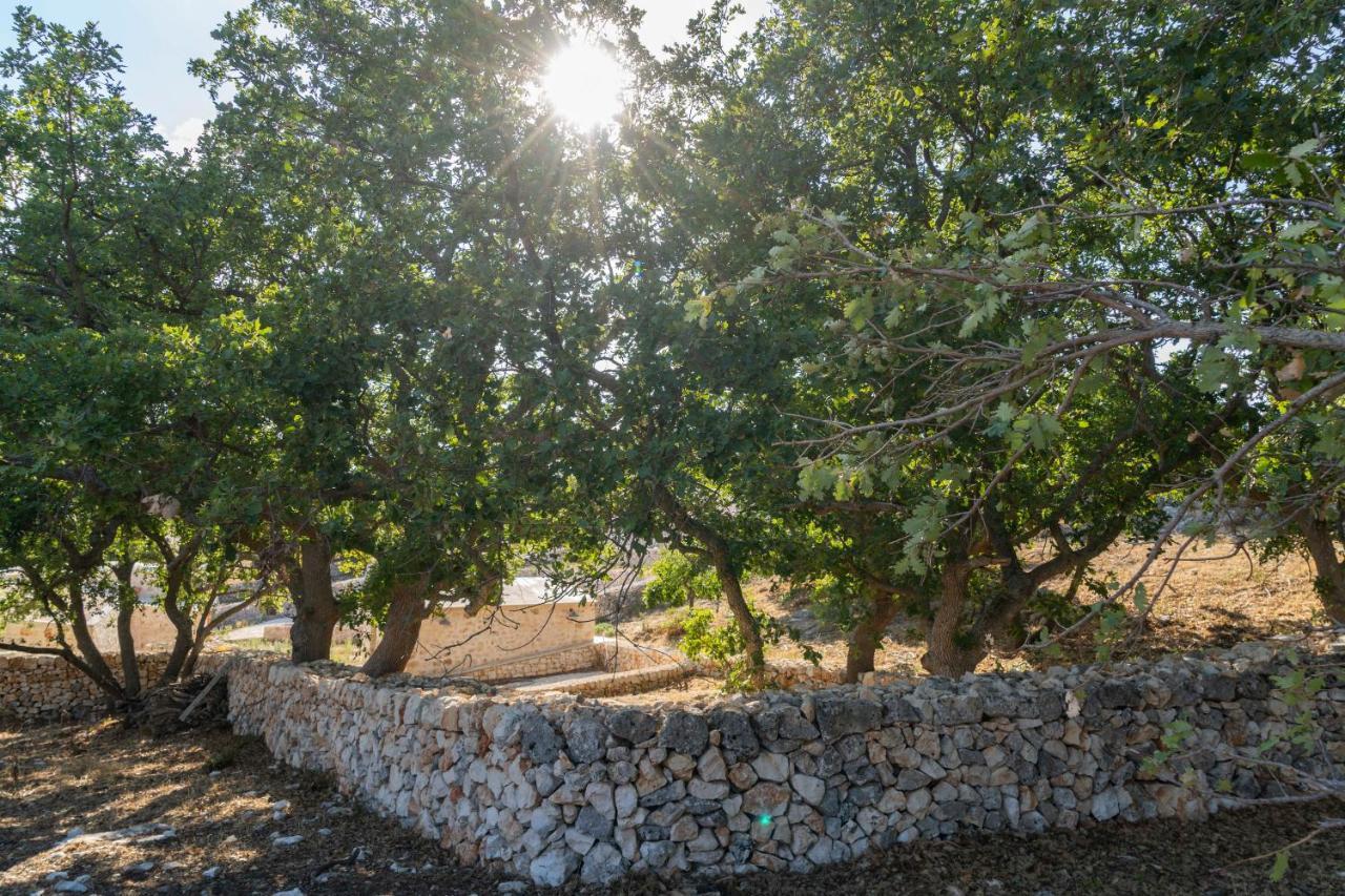 Donnapaola Modern Farm Βίλα Altamura Εξωτερικό φωτογραφία
