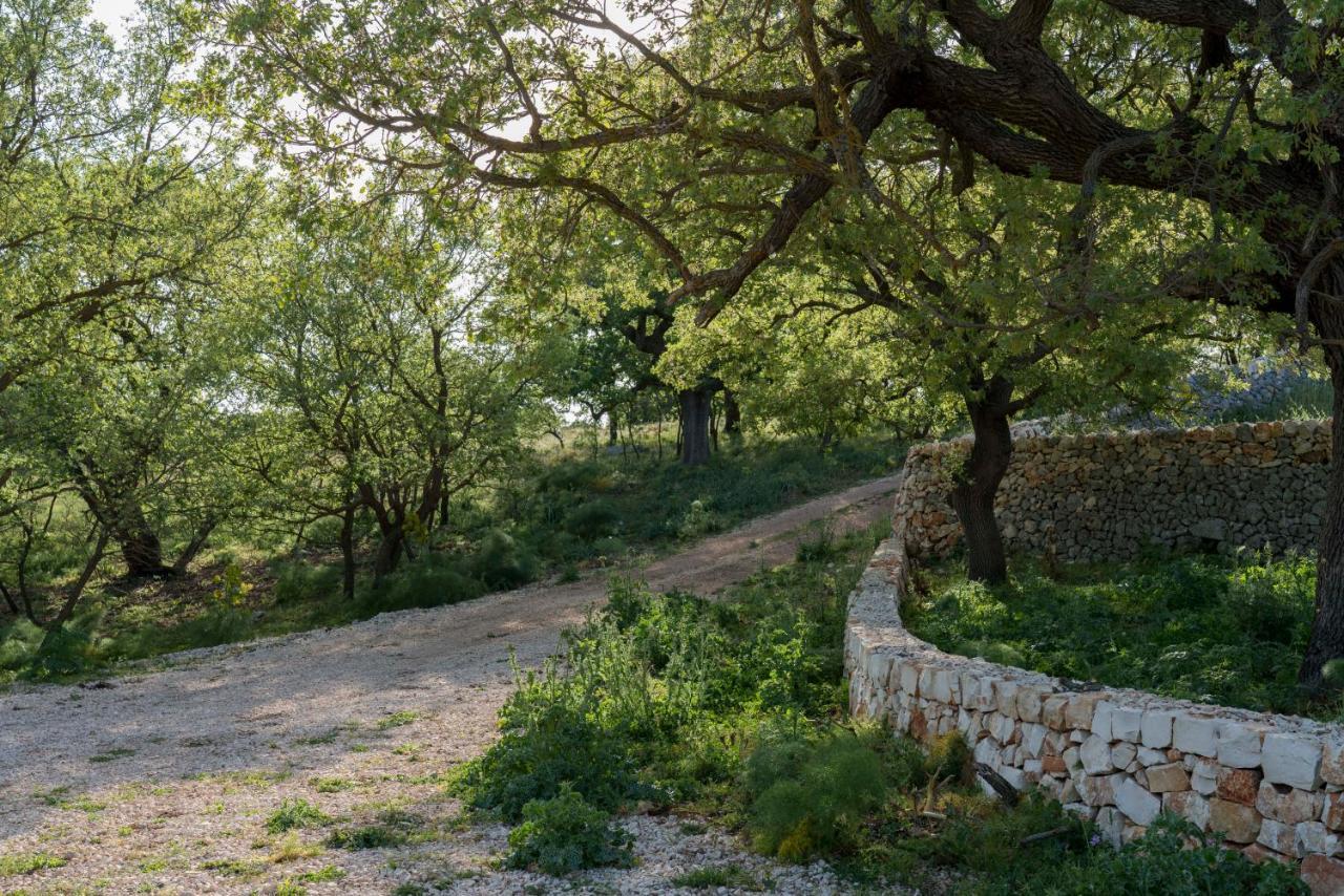 Donnapaola Modern Farm Βίλα Altamura Εξωτερικό φωτογραφία