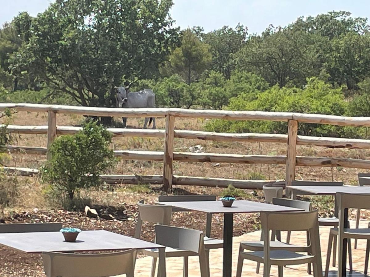 Donnapaola Modern Farm Βίλα Altamura Εξωτερικό φωτογραφία